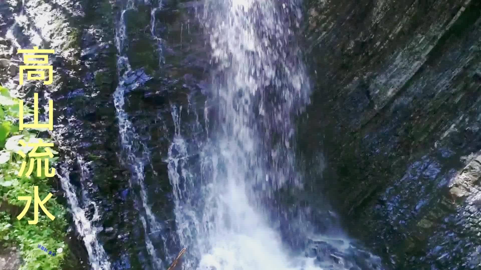 死亡细胞